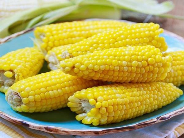mơ thấy bắp ng&ocirc;