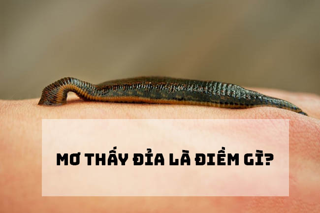 mơ thấy đỉa cắn