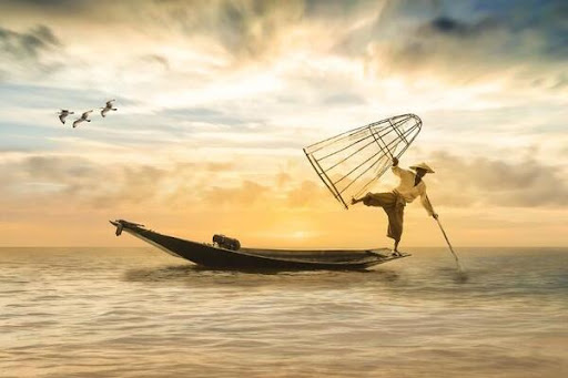 mơ bắt được c&aacute;