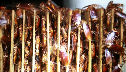 Mơ thấy gi&aacute;n