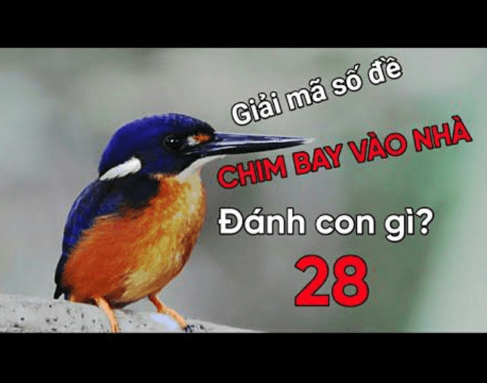 chim bay v&agrave;o nh&agrave;
